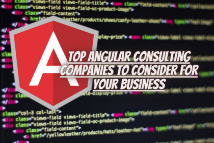 Angularjs Consulting
