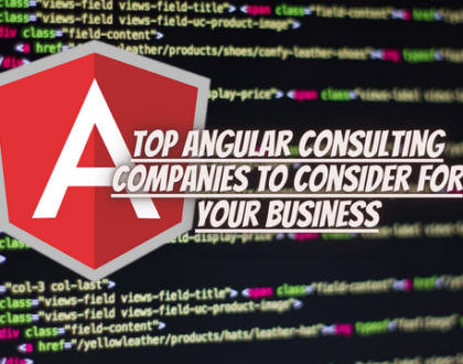Angularjs Consulting